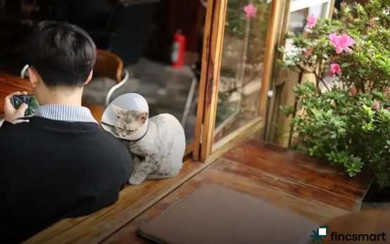 Best Dog Breeds for Families: Top Choices for 2023