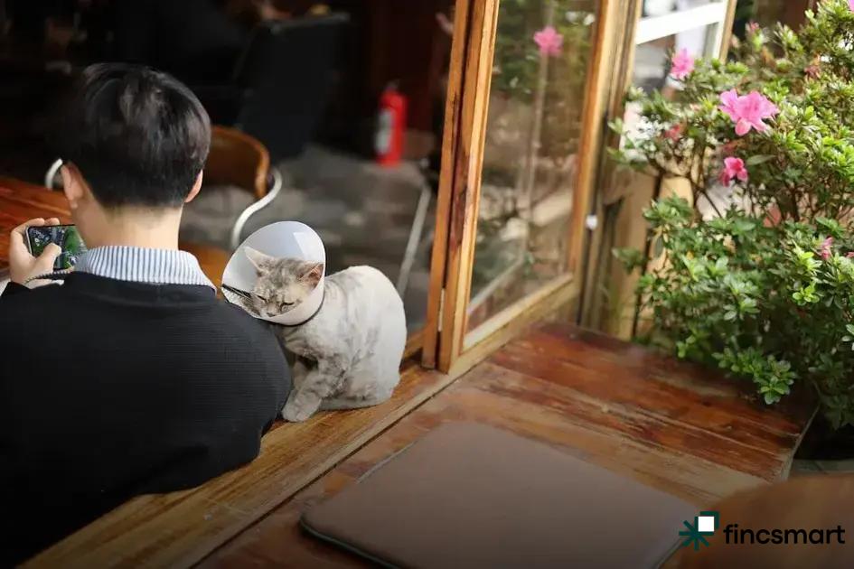 Best Dog Breeds for Families: Top Choices for 2023