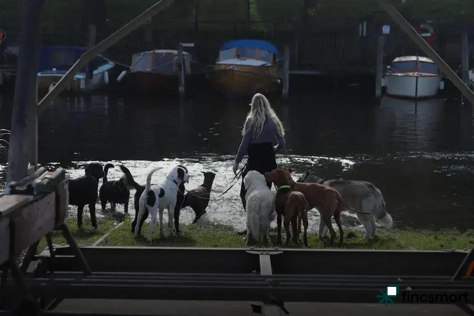 Best Toys for Dogs of All Sizes: Ultimate Guide 2024