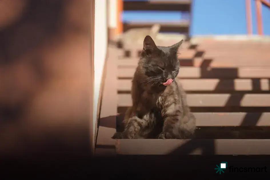 Choosing Safe Grooming Products: Essential Tips for Health