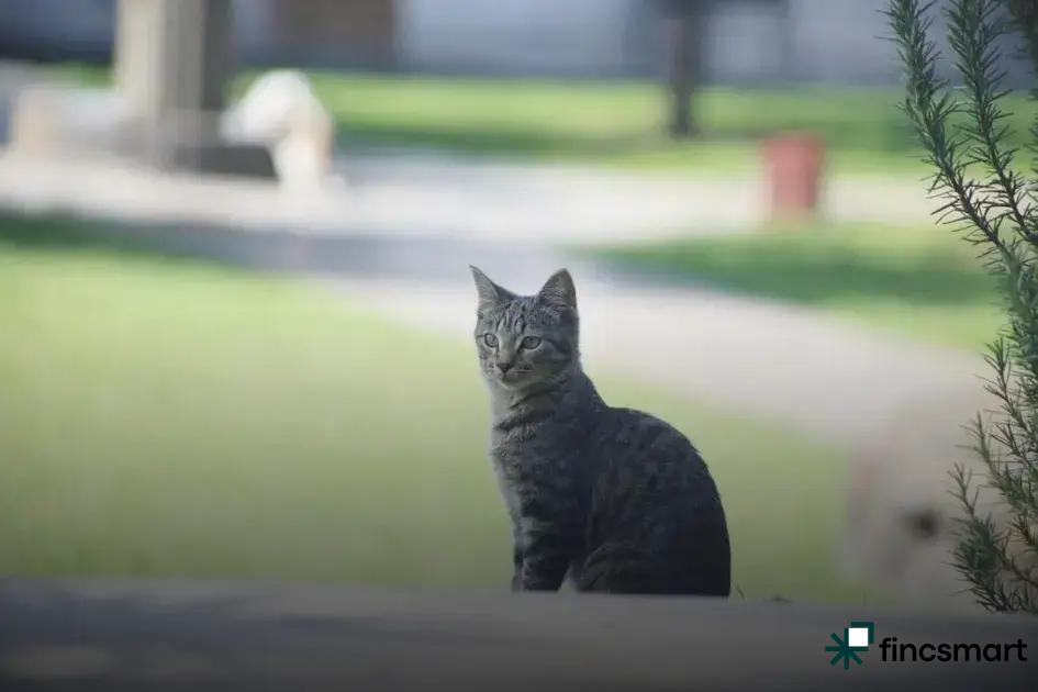 Choosing the Right Aquarium Size: Discover the Perfect Fit