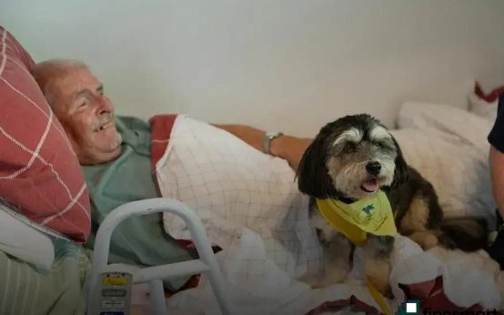 Future Trends in the Pet Industry: What's on the Horizon?