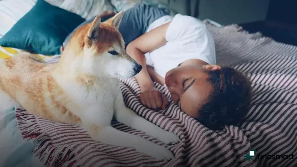 How to Keep Indoor Cats Active: Fun Tips and Tricks