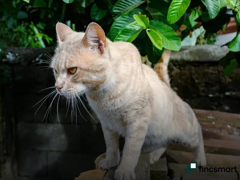 How to Maintain Clean Aquarium Water: Essential Tips Revealed