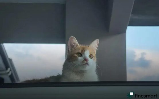 Online vs Local Pet Shops: Pros and Cons Explored