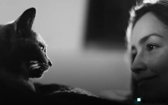 Pet Hygiene Basics Every Owner Should Know Today