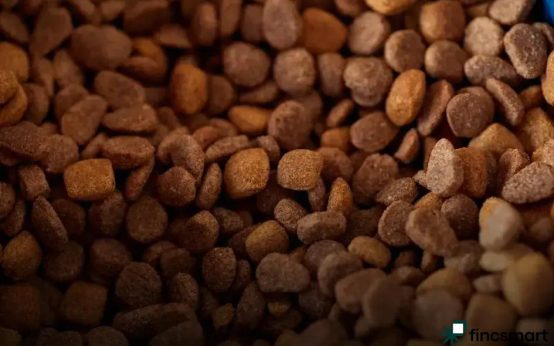 Rabbit Care Tips for Beginners: Easy Steps to Get Started