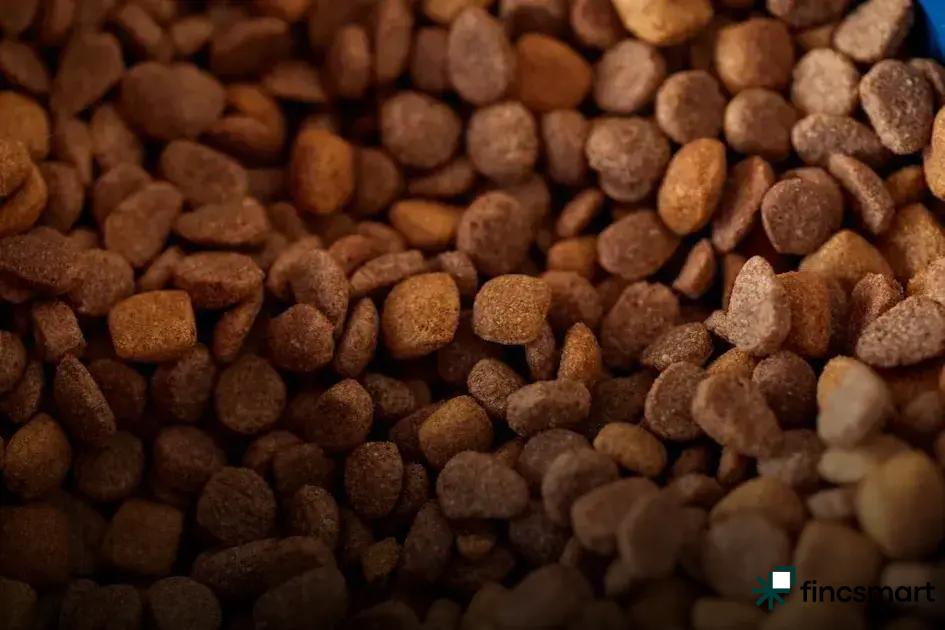 Rabbit Care Tips for Beginners: Easy Steps to Get Started