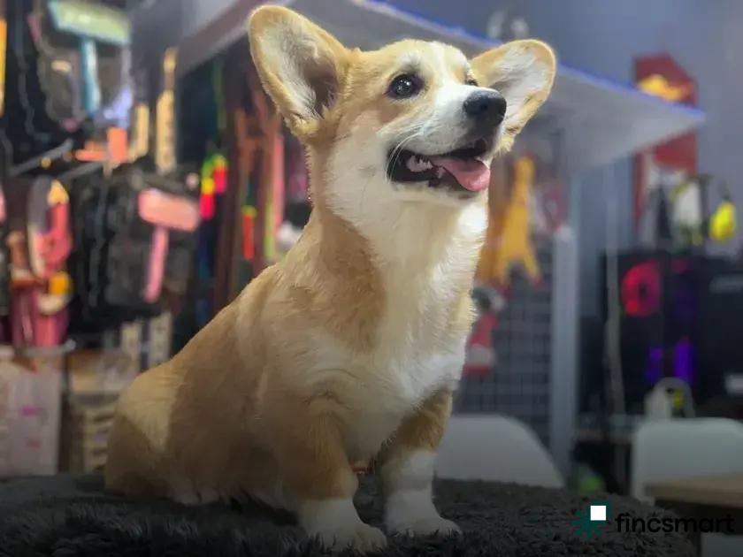 Terrarium Setup Guide: Secrets to a Thriving Ecosystem